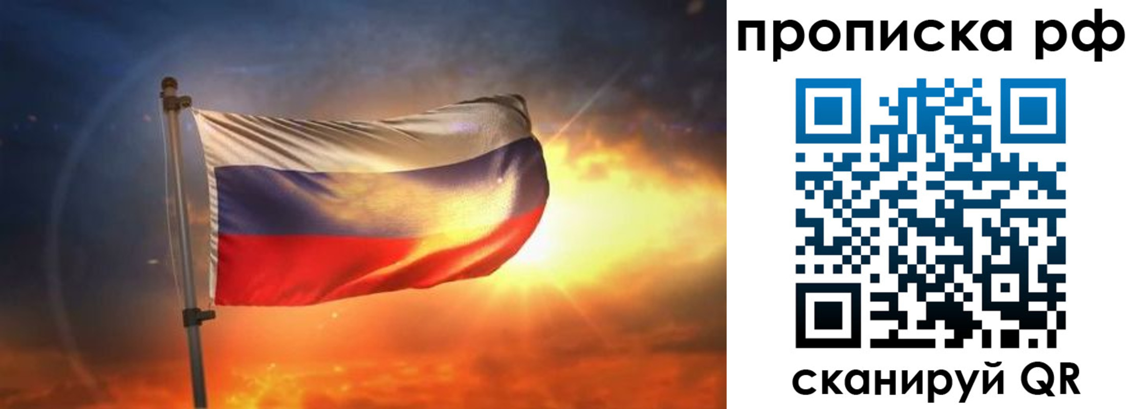 временная регистрация адрес в Кингисеппе